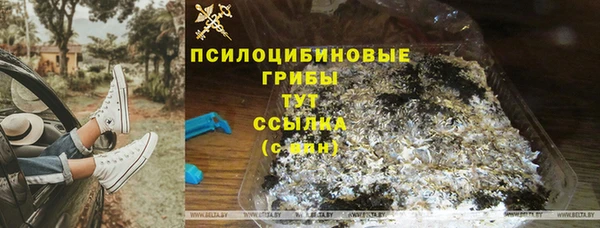 Альфа ПВП Арсеньев