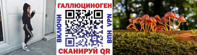 Галлюциногенные грибы GOLDEN TEACHER  Усть-Лабинск 